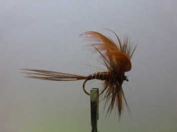 Size 10 Mayfly Brown